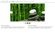 Tablet Screenshot of emailmarketingshop.biz